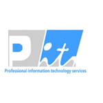 Professional IT Service Company logo