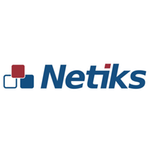 NETIKS logo