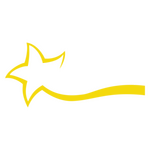Star Net logo